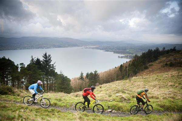 Hotel East Coast Adventure Centre Glamping Rostrevor Exterior foto
