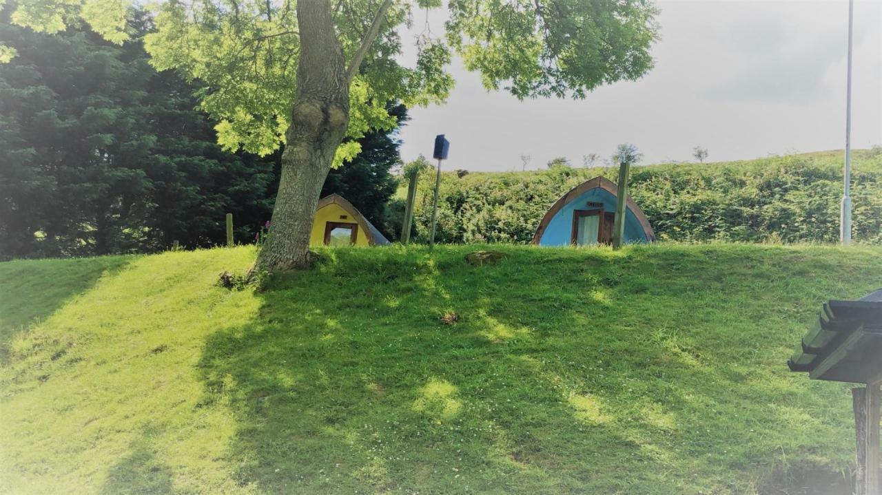 Hotel East Coast Adventure Centre Glamping Rostrevor Exterior foto