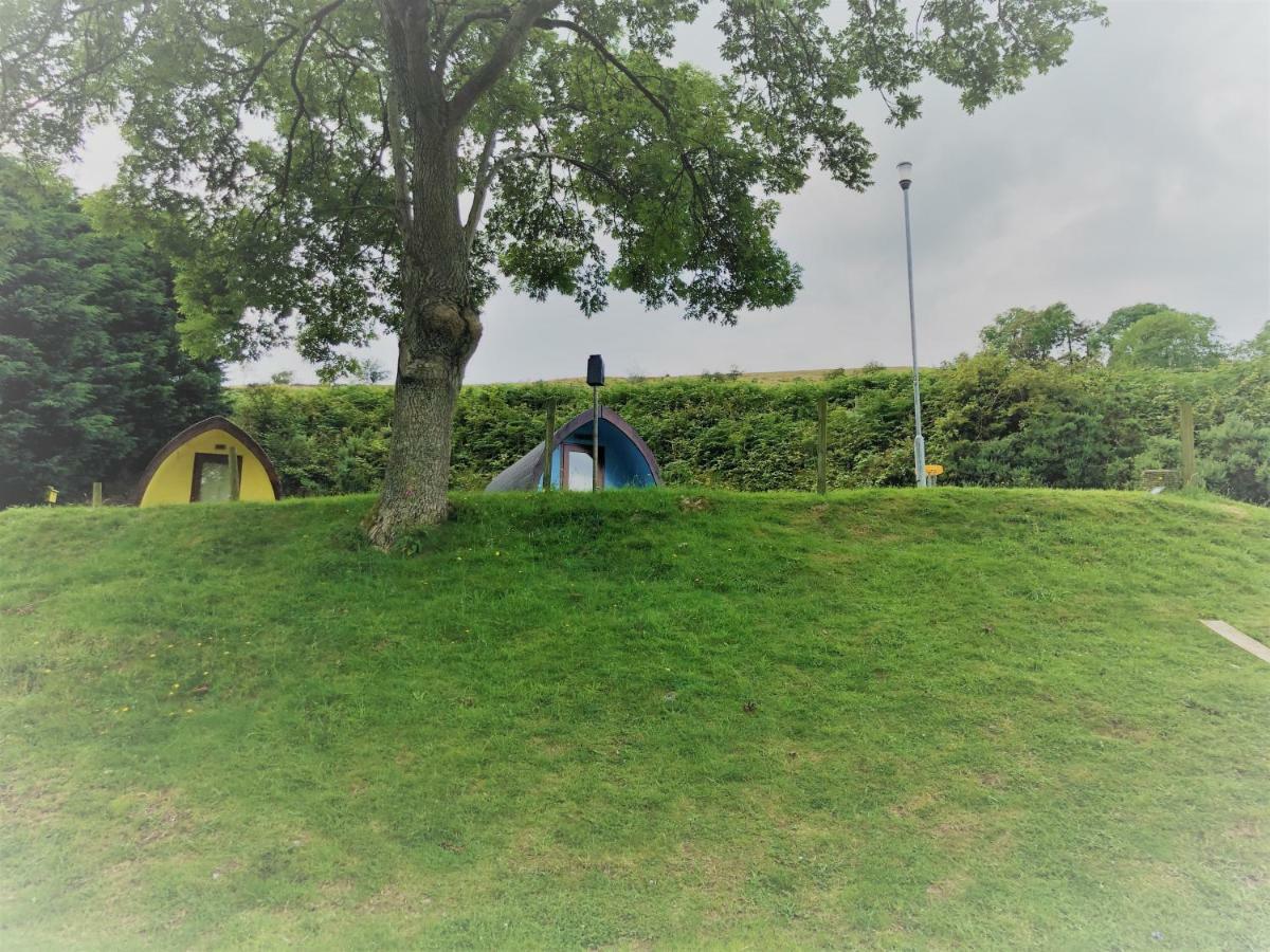 Hotel East Coast Adventure Centre Glamping Rostrevor Exterior foto